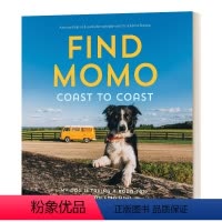 让我们找到莫莫2 [正版]华研原版 让我们找到莫莫 英文原版 Let'S Find Momo! 狗狗摄影书 寻找莫莫