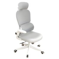 涵美大成 人体工学椅办公椅 GXY0816 张