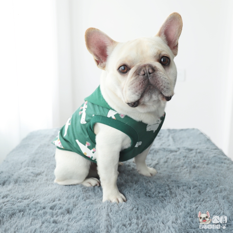宠物衣服米妮法斗巴哥胖狗狗背心款可爱绿帽子狗背心有弹性