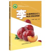 [N]李高效种植技术与病虫害防治图谱/乡村振兴之农民素质教育提升系列丛书-9787511641069