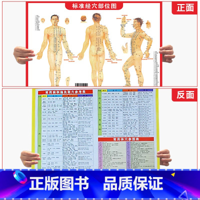 标准经穴部位图 [正版]标准经穴部位图 含 经络图 常见病历灸取穴参考表 常用体穴参考表艾灸注意事项人体肌肉神经解刨挂图