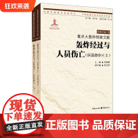 [正版] 《重庆大轰炸档案文献•轰炸经过与人员伤亡(区县部分)》(上、下)唐润明 主编;罗永华 副主编 日本侵华事件史料