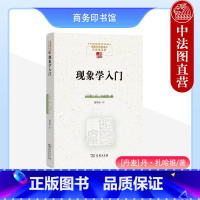 [正版]中法图 现象学入门 商务印书馆 中国现象学文库现象学原典译丛扎哈维系列 现象学存在主义哲学流派胡塞尔海德格尔萨