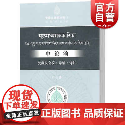 中论颂 梵藏汉合校导读译注 梵藏汉佛典丛书 叶少勇中国佛教义理研习书籍 佛教哲学文献参考资料32开 中西书局正版现代汉语