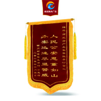 诚成昊冉广告 龙须烫金锦旗 0.8*1.2米 个