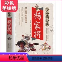 [正版]杨家将书 原著少年读经典系列彩图版三四五六年级学生阅读课外书籍儿童文学名著老师经典名人故事传记故事中外历史故事