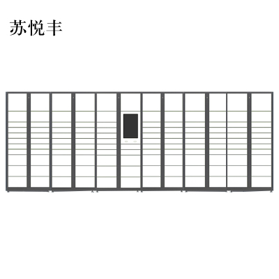 苏悦丰智能快递柜小区快递自提柜派件柜室外寄存柜信报箱储物柜一主五副127格