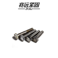 兆远紧固 六角头螺栓 M12(个)(12*55)