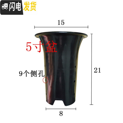 三维工匠园艺兰花盆塑料大中小号透气黑色带孔国兰君子兰墨兰花专用盆 5寸 这是1个(4个起发货)花盆容器