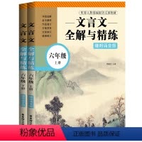 [正版]初中文言文全解与精练 六年级上下册 赠朗诵音频 配全国六年级语文 初中语文课内课外文言诗文阅读训练 华东理工大