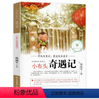 小布头奇遇记 [正版]小布头奇遇记 孙幼军著 小学生二年级三四五六年级课外阅读书7-10-12岁儿童文学读物经典名著