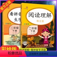 [正版]阅读理解+看拼音写词语二年级下册 乐学熊彩绘版 人教版小学2年级阅读理解看拼音生字注音 小学语同步专项训练课外
