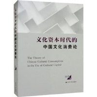 音像文化资本时代的中国文化消费论徐望著