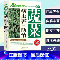 [正版]北方蔬菜病虫害与防治新技术新农村致富金钥匙丛书专家权威版蔬菜棚室栽培主要形式病虫害防治一般原则苗期病害农药科学使