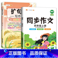 扩句法+四上同步作文 小学通用 [正版]扩句法写作文方法与技巧篇小学生作文大全三年级至四五六年级上册同步作文语文满分扩词