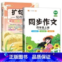 扩句法+四上同步作文 小学通用 [正版]扩句法写作文方法与技巧篇小学生作文大全三年级至四五六年级上册同步作文语文满分扩词