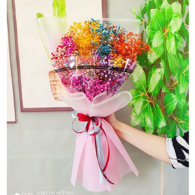 三维工匠满天星干花花束生日礼物大束批发真花女闺蜜少女送女朋友永生花卉B05精装彩色满天星花束LED彩灯+贺卡