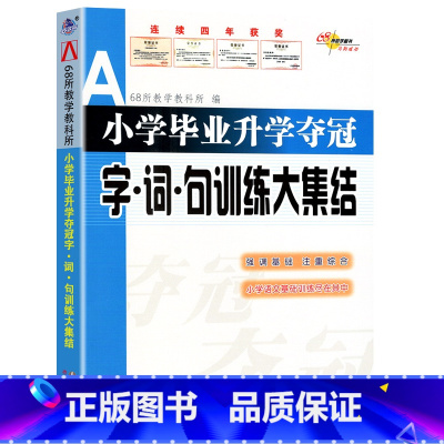 小学字词句训练大集结 小学升初中 [正版]2023新版 小学毕业升学夺冠 名著知识文学常识 古诗文 成语 字词句训练