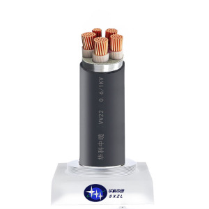华科中缆 电力电缆 VV22 米