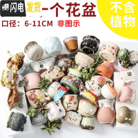 三维工匠多肉花盆陶瓷创意个性粗陶透气家用大口径盆栽小花盆 口径6-11CM随机(10个) 小花盆容器