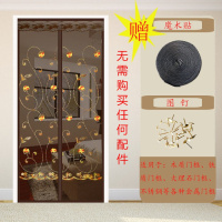 夏季网纱窗防蚊帘卧室家用魔术贴隔断磁性磁铁对吸自吸防蝇 咖啡玫瑰刺绣(魔术贴) 130*220cm