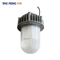 韬鹏 泛光灯 50W 个