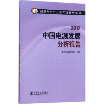 醉染图书中国电源发展分析报告.20179787519810573