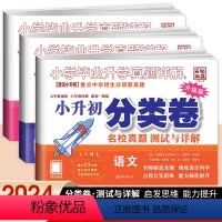 小升初分类卷[语数英3本] 小学通用 [正版]百校联盟2024版小学毕业升学真题详解小升初分类卷重点中学招生分班真题卷五