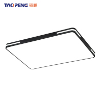 韬鹏 吸顶灯 96W 个