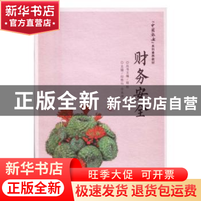 正版 财务安全 印胜山,许本洲主编 电子工业出版社 978712129367