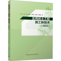 音像实用岩土工程施工新技术(20)雷斌,郑磊,许建瑞 等