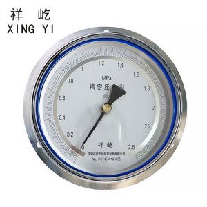祥屹+精密压力表轴向带边检测定制型+YB150ZT+0.25级 +块
