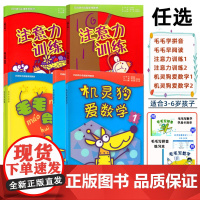 巧问幼小衔接系列 毛毛会拼音 毛毛早阅读 机灵狗爱数学 注意力训练 My World1234 衔接教材 幼儿园教材 适合
