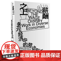 薪酬之上:多元经济中的劳动形态 社会现象研究 非正规劳动者薪酬合同社会保障 中国工人出版社 社会科学劳动科学