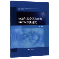 音像拉盖尔基分区及高效FDTD算法研究张波