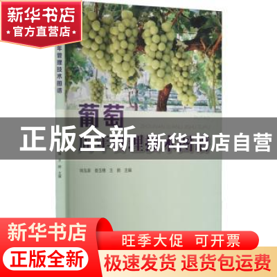 正版 葡萄周年管理技术图谱 尚泓泉,娄玉穗,王鹏主编 河南科学