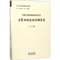 音像回族经济史李澜 等 著;肖金成 丛书主编