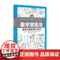 数学冒险岛 激活大脑的智力闯关 内森·哈塞尔鲍尔 著 娱乐