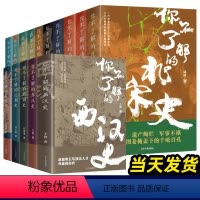 你不了解的中国史[全15册] [正版]全15册 你不了解的西汉史记隋朝史唐朝史大秦史南宋北宋史两晋南北朝三国史十国春秋史