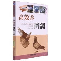 音像高效养肉鸽编者:熊家军|责编:郎峰//高伟//陈洁