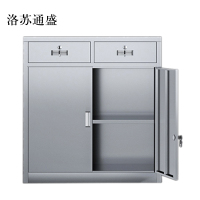 洛苏通盛文件柜不锈钢柜子储物柜资料柜档案柜带锁文件柜201二斗下节常规款