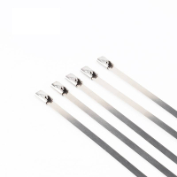 万梓 不锈钢扎带 12*900mm 根