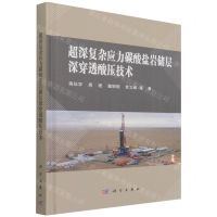 [N]超深复杂应力碳酸盐岩储层深穿透酸压技术(精)-9787030703866