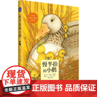 慢半拍的小鹅 博洛尼亚国际儿童书展图画书奖 平装图画书 6-12岁孩子情商培养卡通绘本 小学生课外读物 童话故事书籍