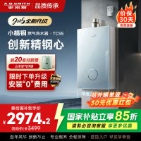 史密斯佳尼特[小精钢TCS5]16升精钢燃气热水器 国家补贴 JSQ31-TCS5 安全守护 持久恒温大水量 新品