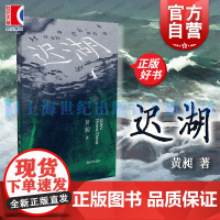 迟湖 FUNNY有趣系列 黄昶短篇小说集上海文艺出版社真金青年文学写作总冠军作品集中国当代文学正版图书 苏童张定浩杨庆祥