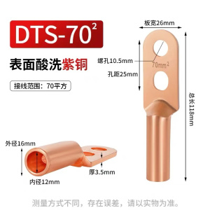鑫祥景 双孔铜接线端子DTS-(35-185) 个