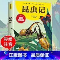 [彩绘注音版]昆虫记 [正版]昆虫记法布尔 原著人民文学出版社 三四年级必读七八年级上册初中生8上完整版节选人教版初二课