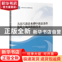 正版 大比尺波浪水槽中波浪条件及软土地基模拟技术 刘针 人民交