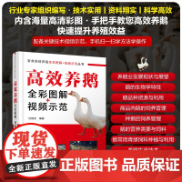 [新华]高效养鹅全彩图解+视频示范 正版书籍 店 化学工业出版社